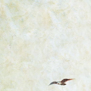 美女全身裸体视频
