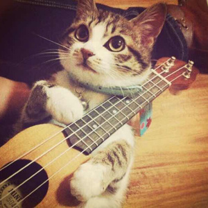 美女全身裸体视频
